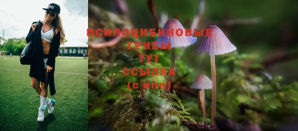 a pvp Кодинск