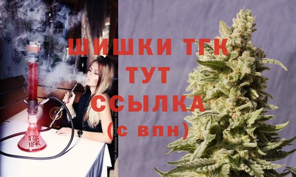 соль ск Козельск