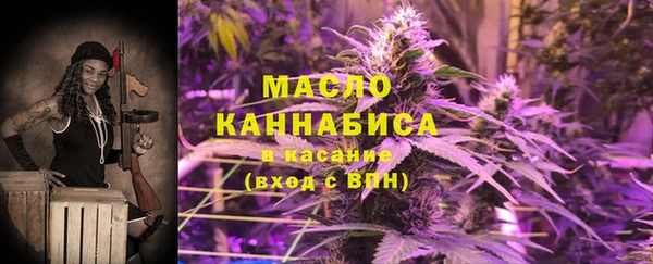 соль ск Козельск