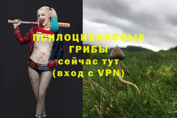 соль ск Козельск