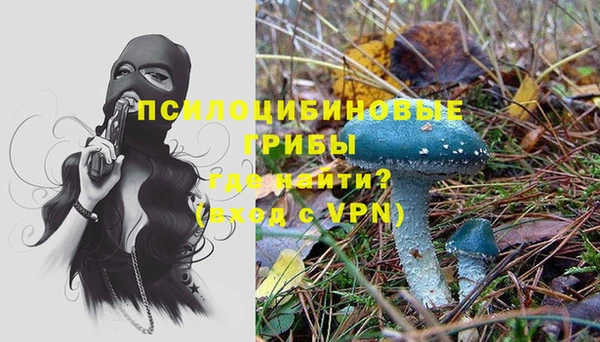 мяу мяу кристалл Козловка