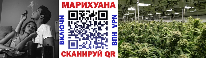 Марихуана OG Kush Купить где Гудермес